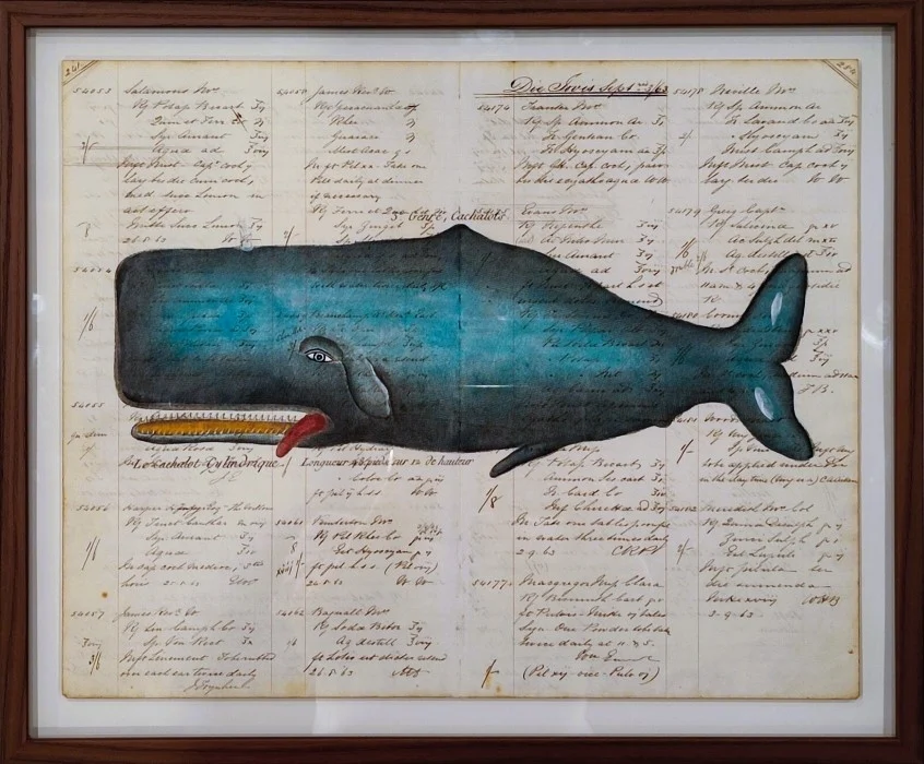 quadro “cetaceo su carta antica – le cachalot cylindrique” - Arredamento marinaresco