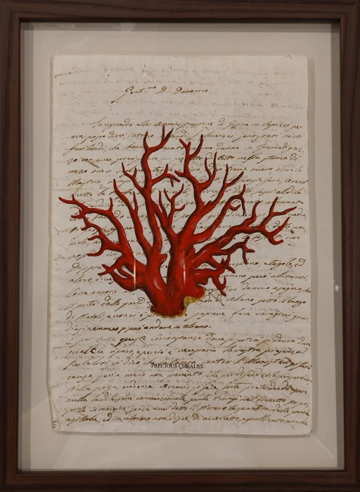 quadro “precious corales rosso su carta antica” - Arredamento marinaresco