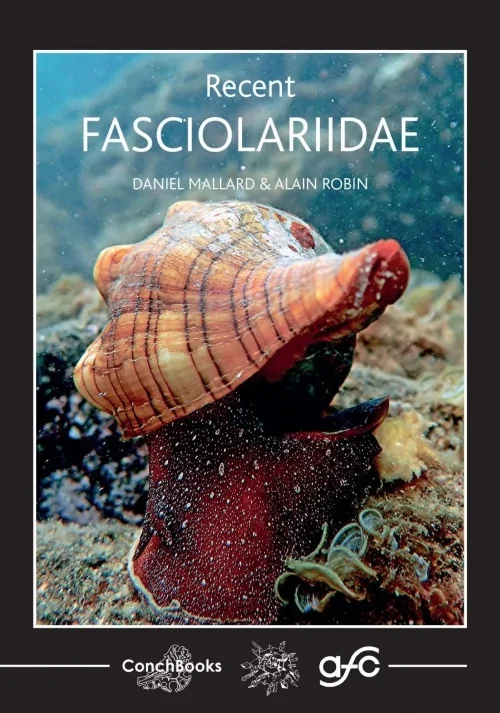 recent fasciolariidae - Libri e DVD