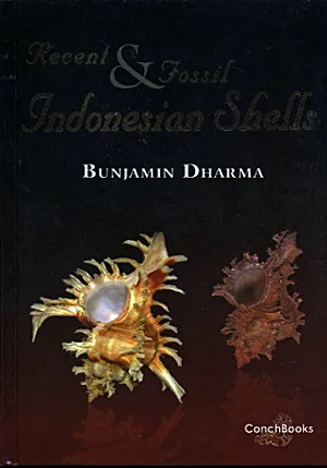 recent & fossil indonesian shells - Libri e DVD