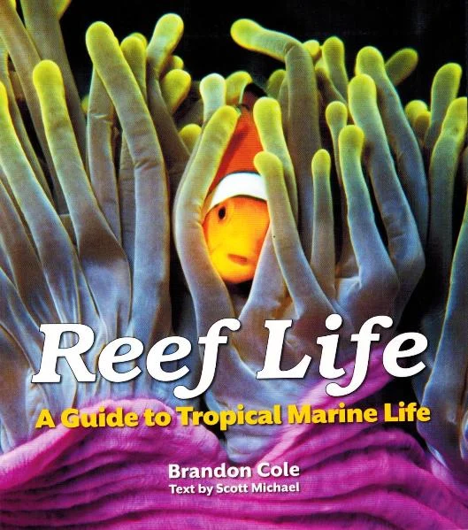 reef life - Libri e DVD