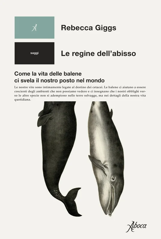 le regine dell’abisso - Libri e DVD