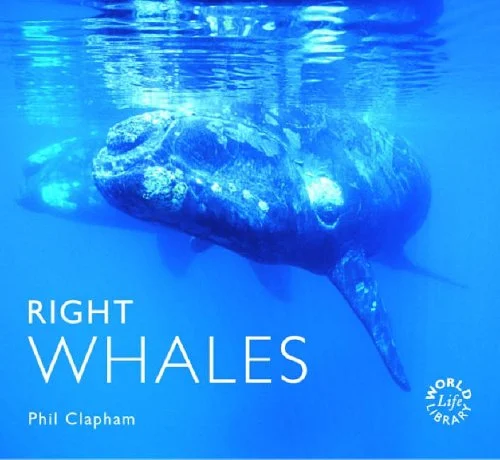 right whales - Libri e DVD