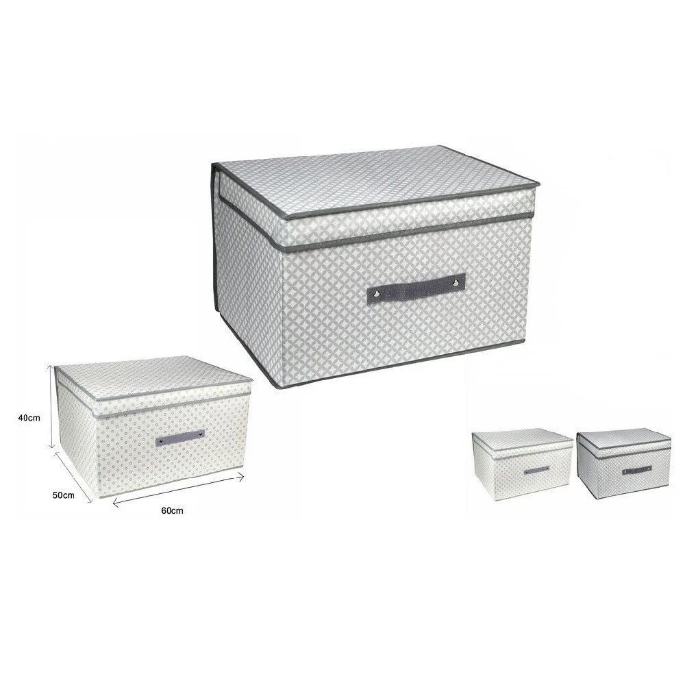 SCATOLA BOX SALVASPAZIO PORTATUTTO CONTENITORE ARMADI ORGANIZER 60X50X40CM 53030 - TrAdE Shop Traesio