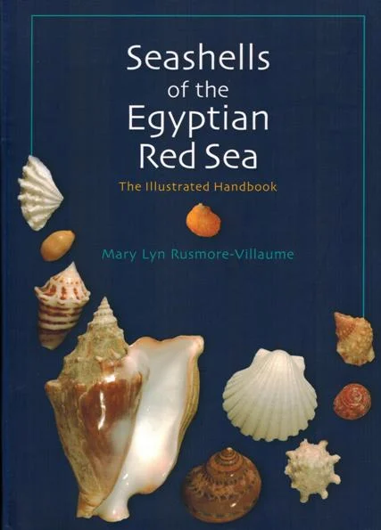 seashells of the egyptian red sea - Libri e DVD