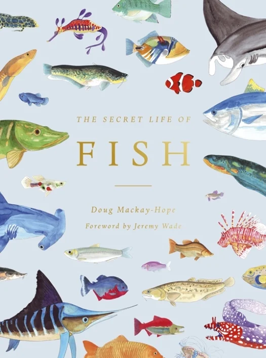 The secret life of fish - Libri e DVD