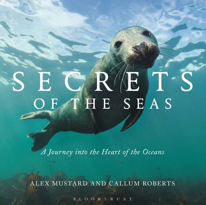 secrets of the seas - Libri e DVD