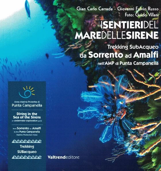 i sentieri del mare delle sirene – diving in the sea of the sirens - Libri e DVD