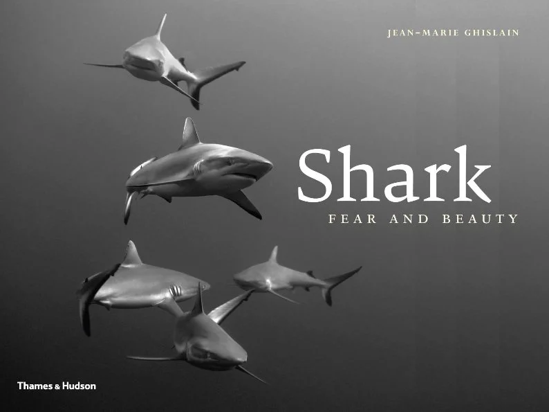 shark - Libri e DVD