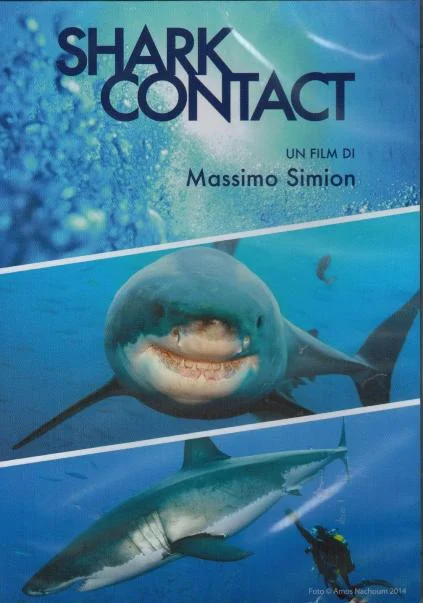 shark contact - Libri e DVD