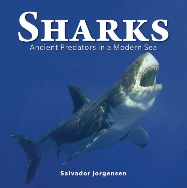 sharks - Libri e DVD