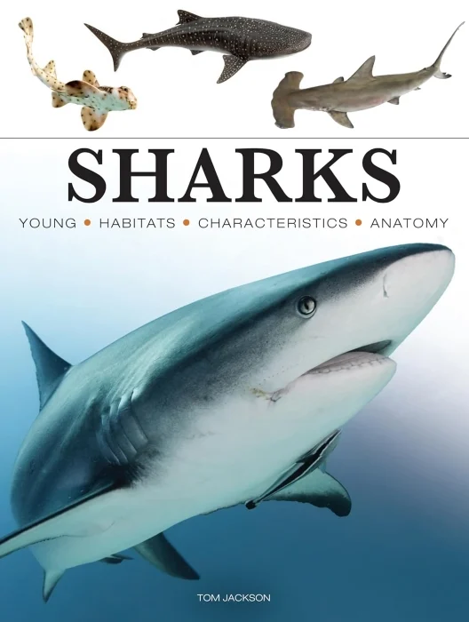 sharks & underwater predators - Libri e DVD