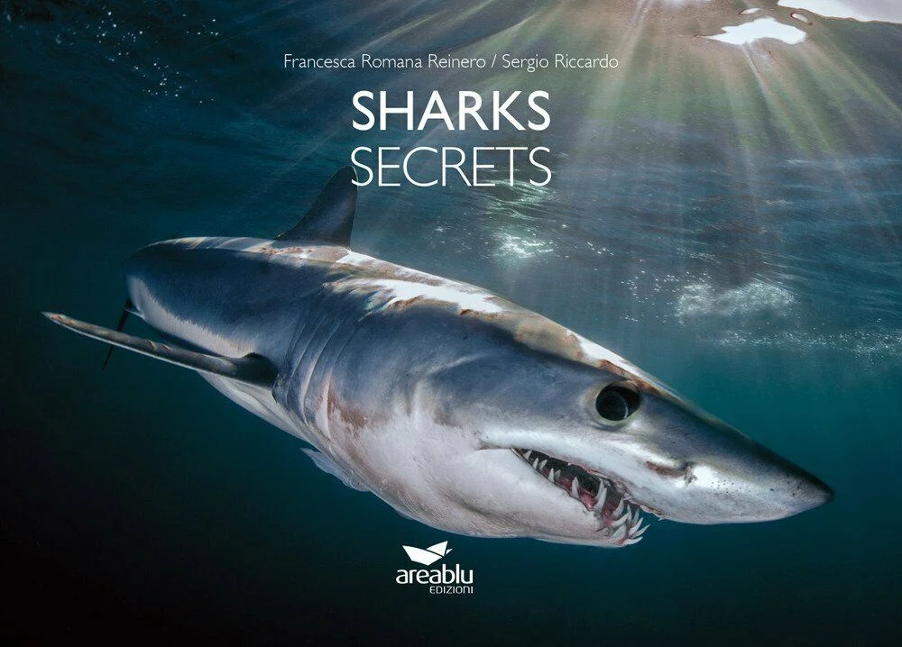 sharks secrets - Libri e DVD