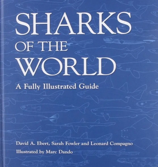 sharks of the world - Libri e DVD