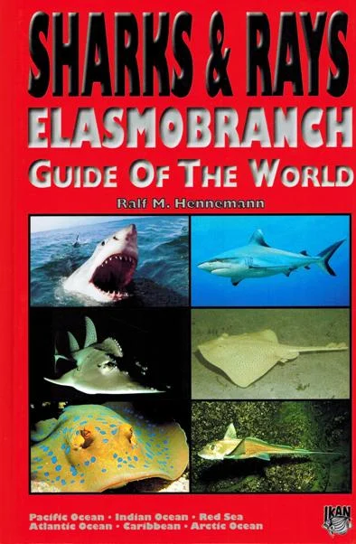 sharks & rays - Libri e DVD
