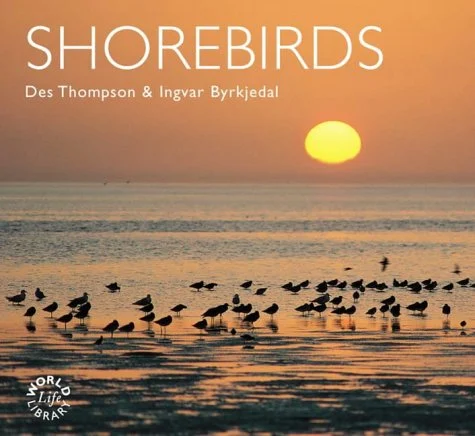 shorebirds - Libri e DVD