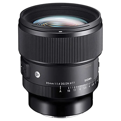 SIGMA Obiettivo 85mm F1.4 DGDN Art per Sony E-mount Lens Nero