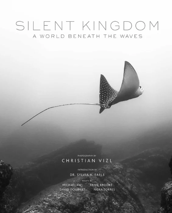 silent kingdom - Libri e DVD