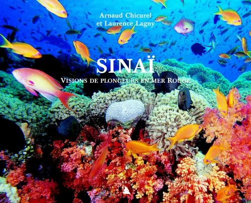 sinai - Libri e DVD
