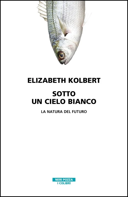 sotto un cielo bianco - Libri e DVD