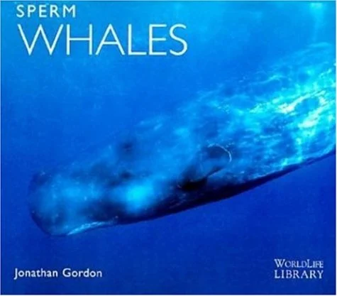 sperm whales - Libri e DVD
