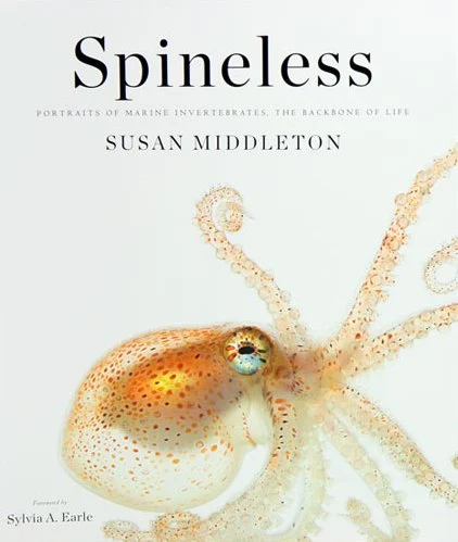 spineless - Libri e DVD