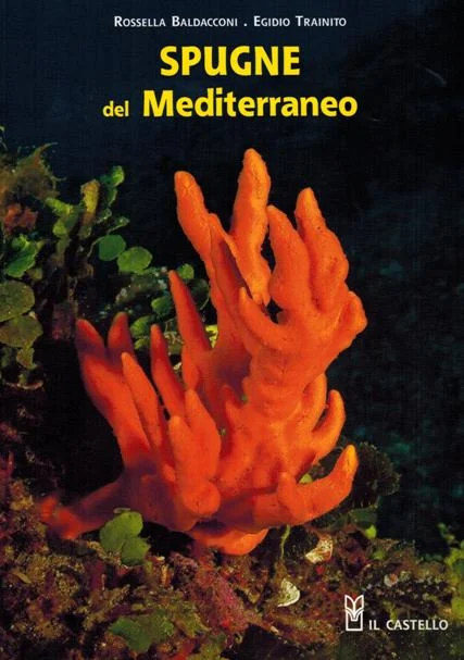 spugne del mediterraneo - Libri e DVD