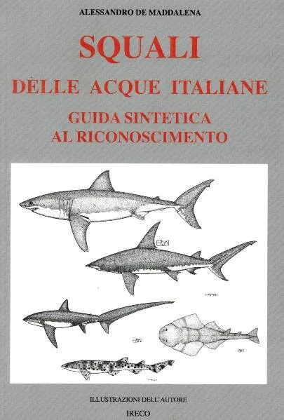 squali delle acque italiane - Libri e DVD