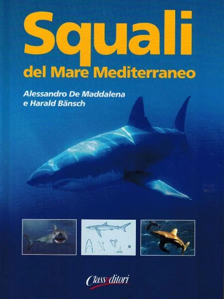 squali del mare mediterraneo - Libri e DVD