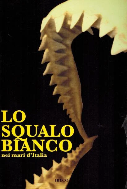 lo squalo bianco nei mari d’italia - Libri e DVD