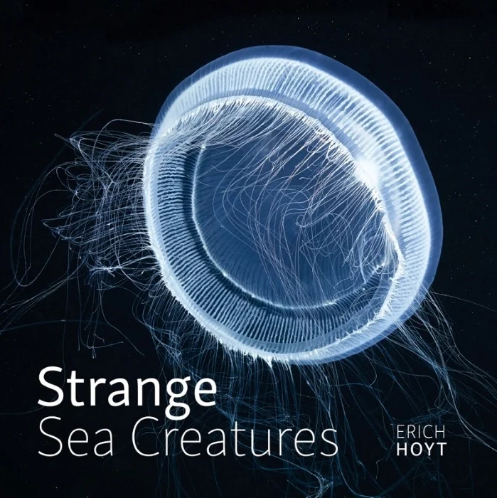 strange sea creatures - Libri e DVD