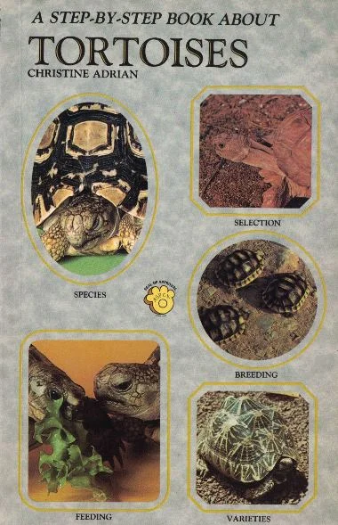 a step-by-step book about tortoises