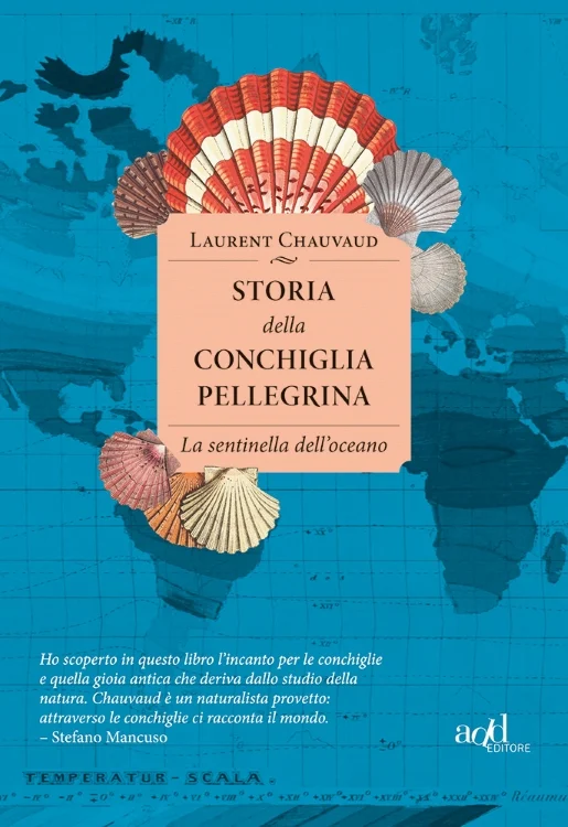 storia della conchiglia pellegrina - Libri e DVD
