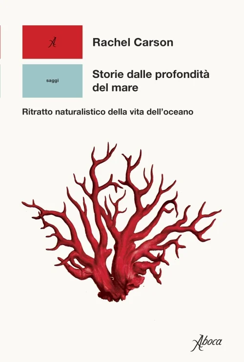 storie dalle profondità marine - Libri e DVD
