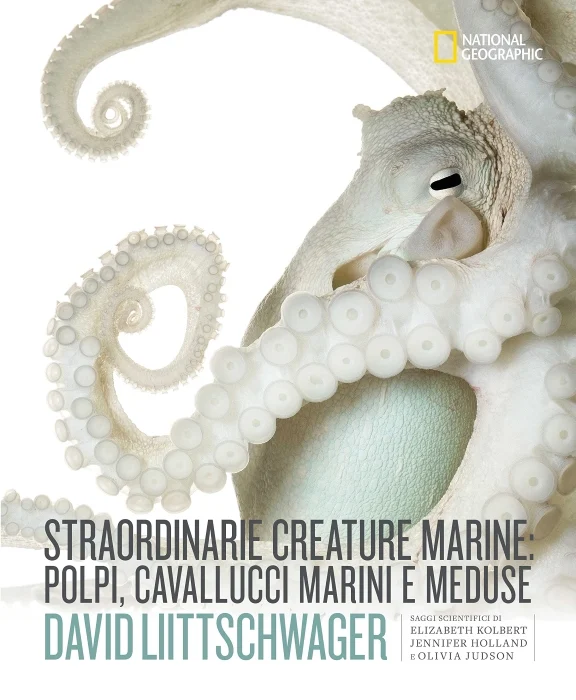straordinarie creature marine: polpi, cavallucci marini e meduse - Libri e DVD