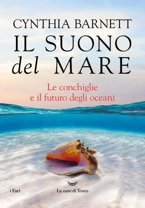 il suono del mare - Libri e DVD