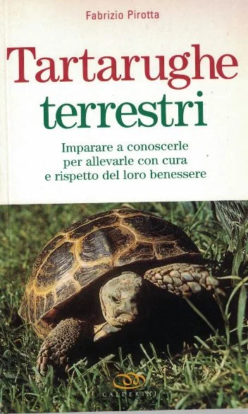 tartarughe terrestri - Libri e DVD