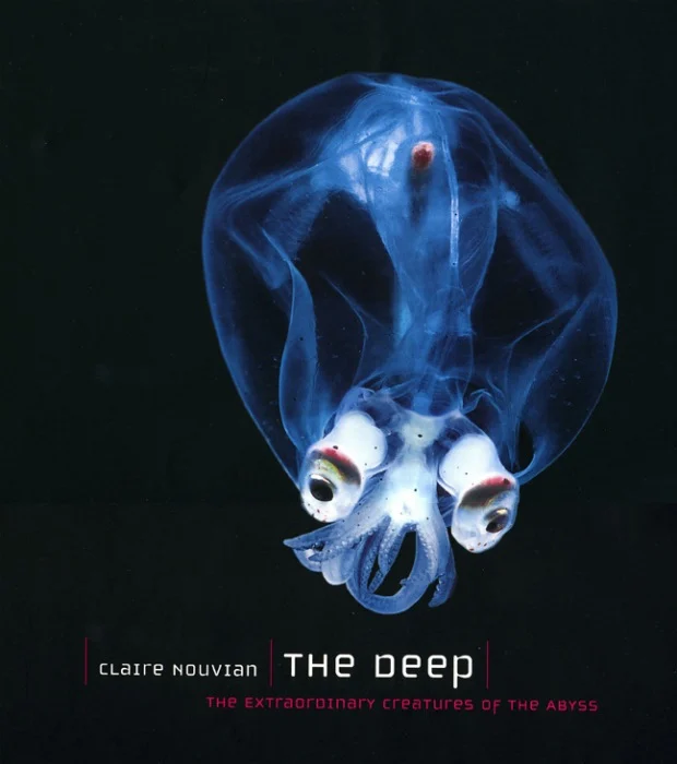 the deep - Libri e DVD