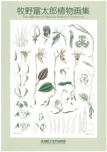 Tomitaro Makino Raccolta di illustrazioni botaniche libro d’arte