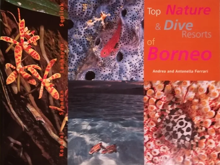 top nature & dive resorts of borneo - Libri e DVD