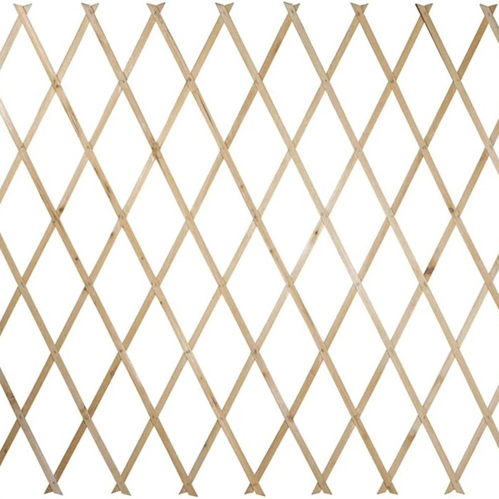 TRALICCIO LEGNO RETE ESTENSIBILE PIANTE RAMPICANTI STACCIONATA 100X200 CM 206429 - TrAdE Shop Traesio