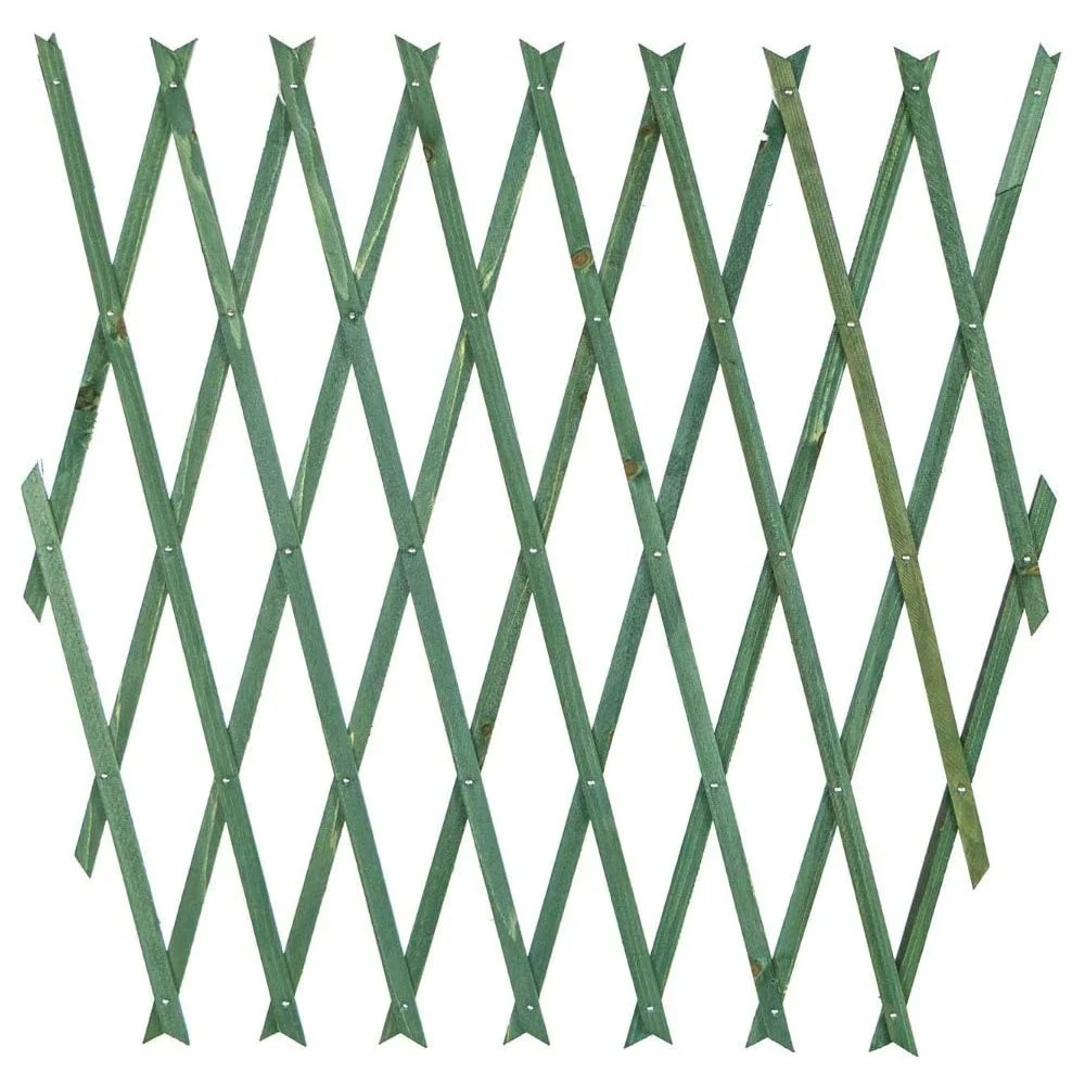 TRALICCIO RETE ESTENSIBILE IN LEGNO VERDE PER PARETE DA GIARDINO PIANTE 180X60cm - TrAdE Shop Traesio