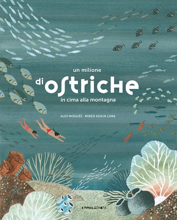 un milione di ostriche in cima alla montagna - Libri e DVD