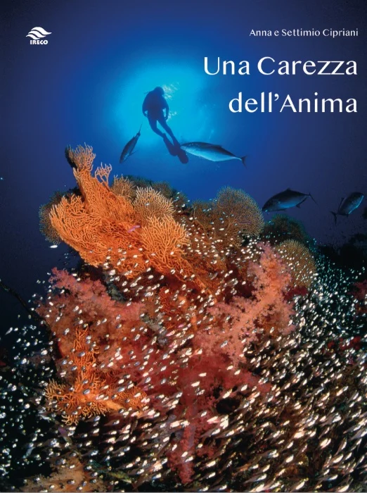 una carezza dell’anima - Libri e DVD