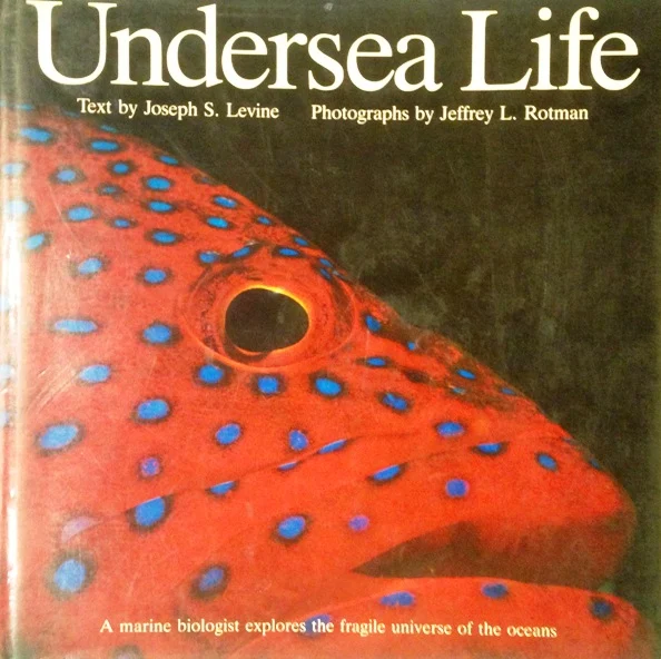 undersea life - Libri e DVD