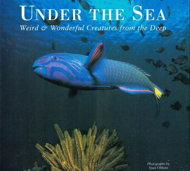 under the sea - Libri e DVD