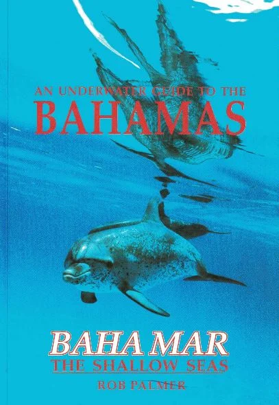 an underwater guide to the bahamas - Libri e DVD
