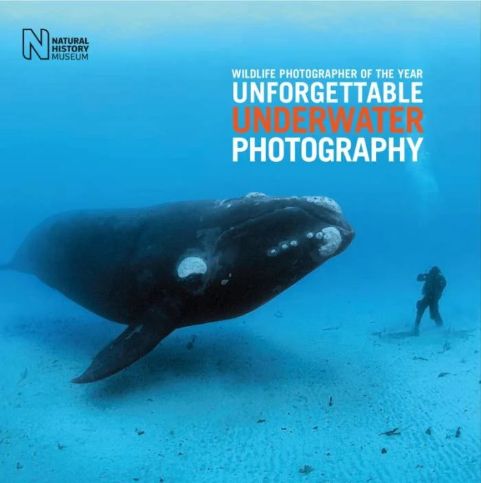 unforgettable underwater photography - Libri e DVD