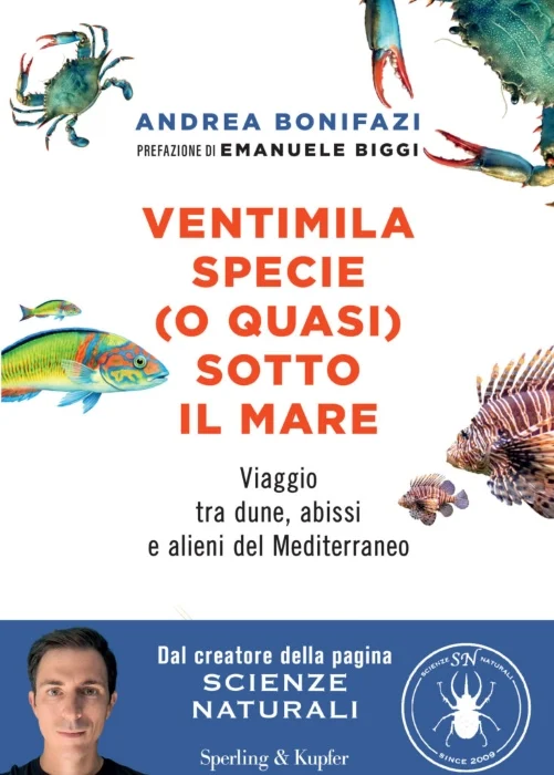 Ventimila specie (o quasi) sotto il mare - Libri e DVD