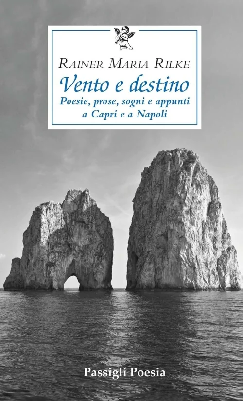 Vento e destino - Libri e DVD